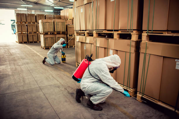 Best Exterminator Services  in Rupert, WV