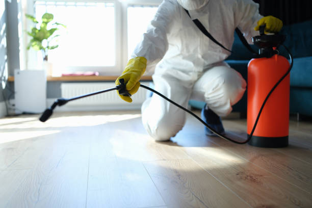 Professional Pest Control in Rupert, WV